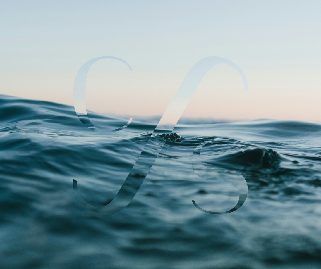 Meer mit Wellen und darüber das Logo von Dr. Carolin Schmidt.